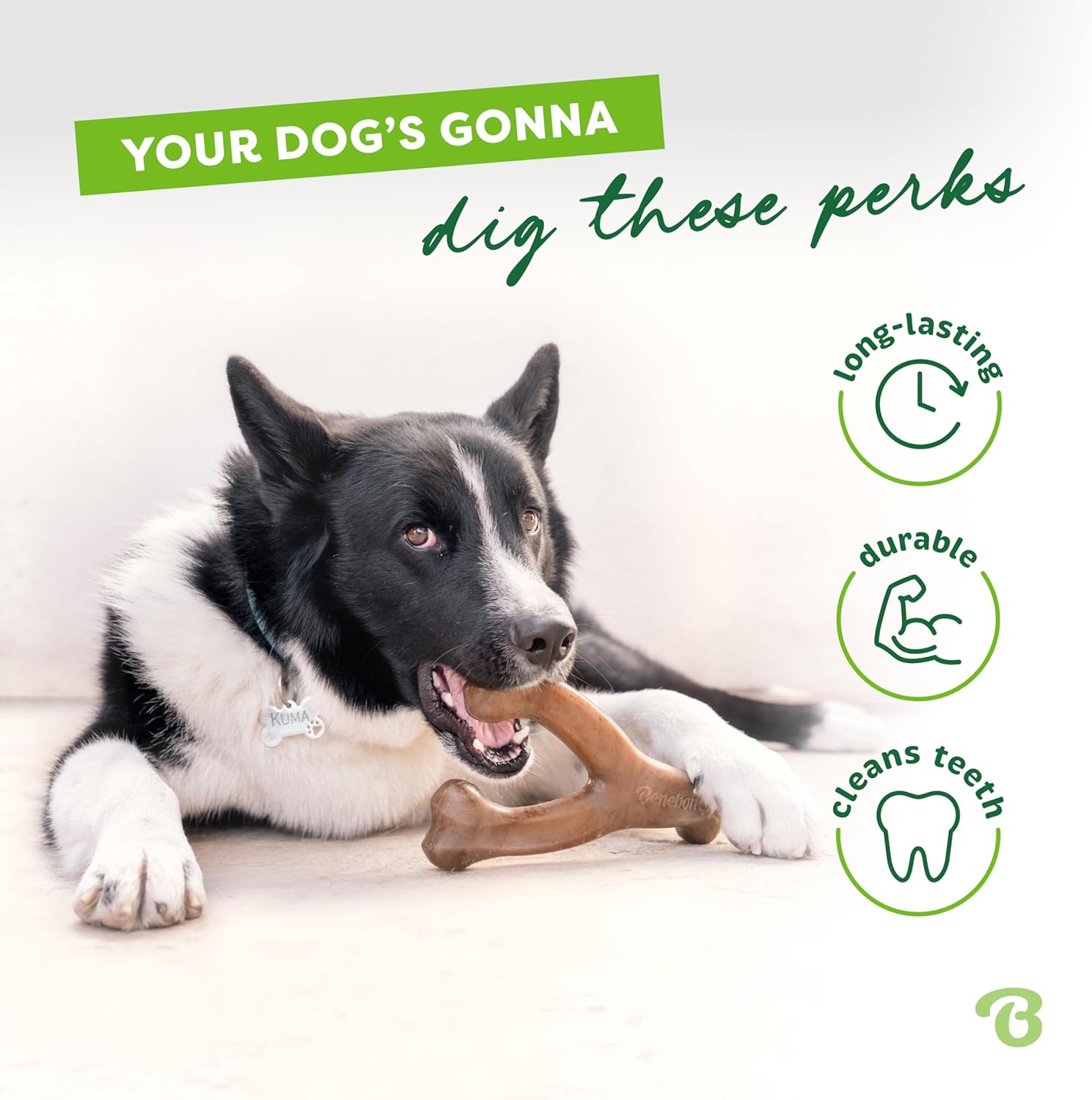 Durable Dog Chew Toy