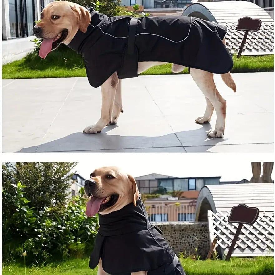 Winter Warmth Double-Layer Dog Jackets