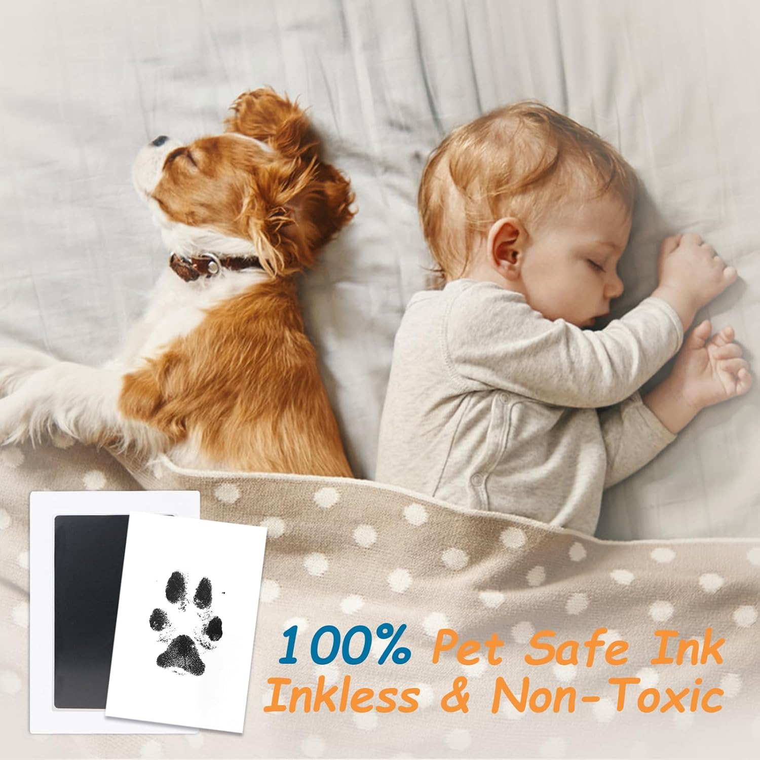 Inkless Paw Print Kit Dog Paw Print Kit Dog Nose Print Kit Clean Touch Ink Pads and Imprint Cards