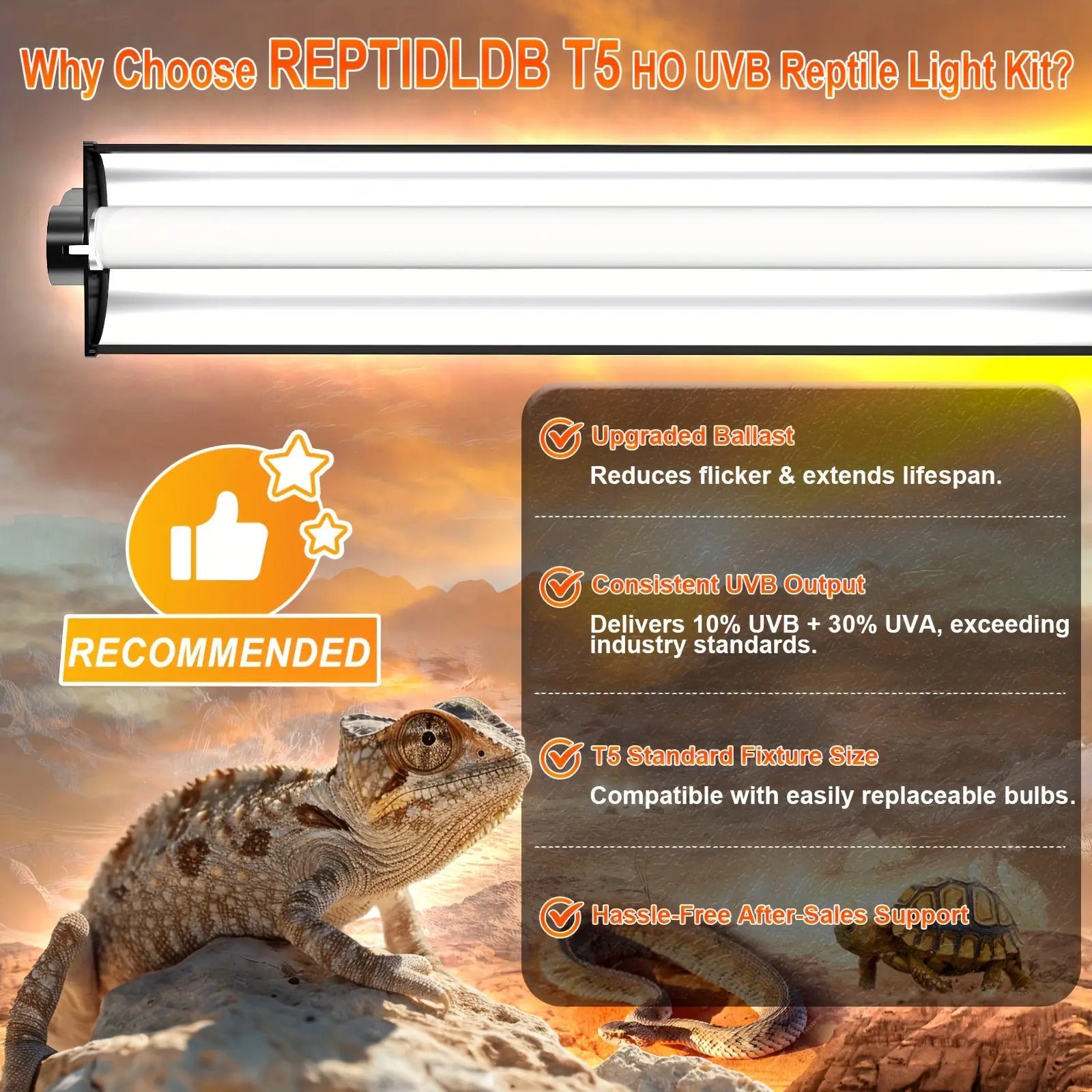 T5 UVB Reptile Light Fixture Combo Kit