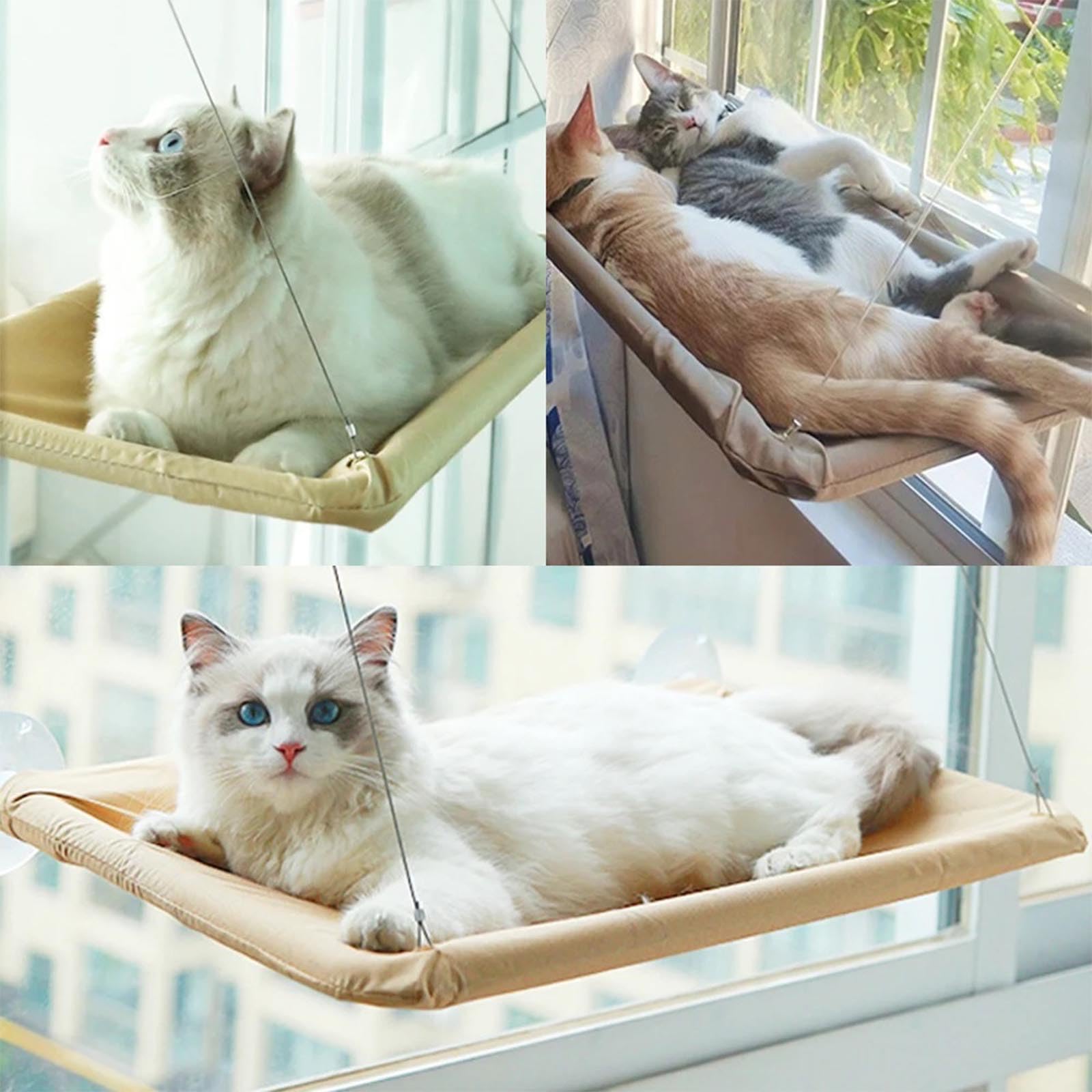 at Bed Window Cat Hammock