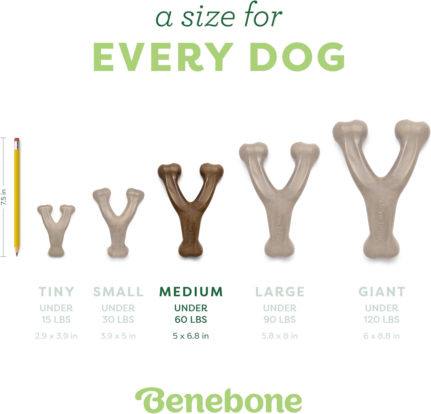 Durable Dog Chew Toy