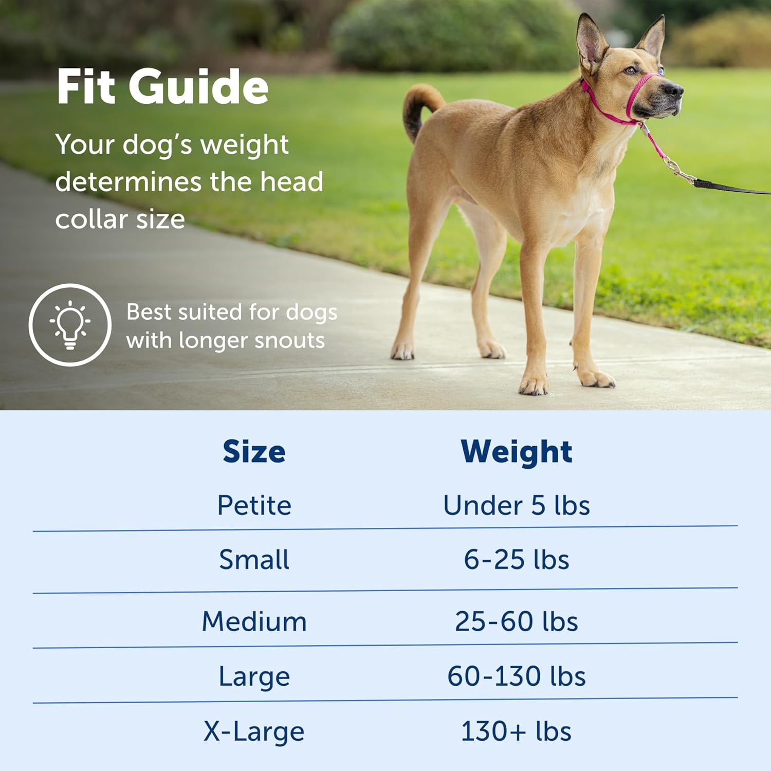 Gentle Leader No-Pull Head Collar for Dogs