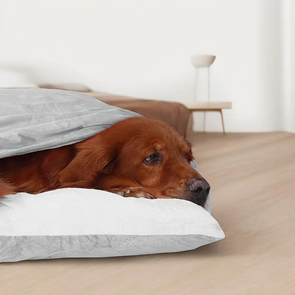 Breeds Plush Cozy Dog Bed