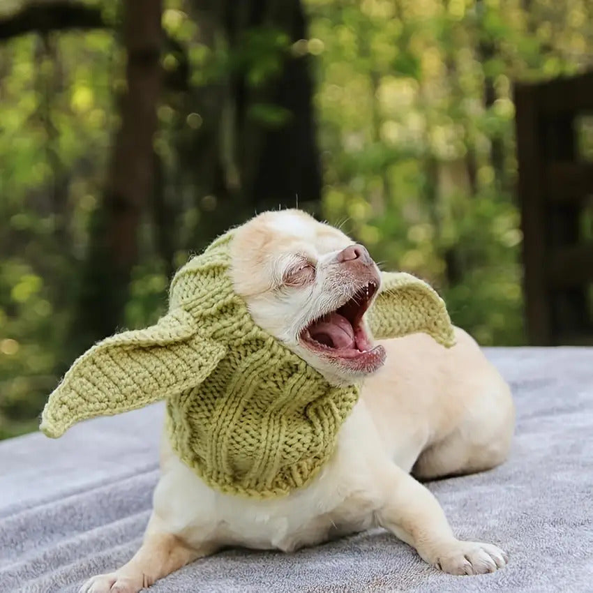 Green Elf Windproof Knitted Dog Hat & Ear Muffs