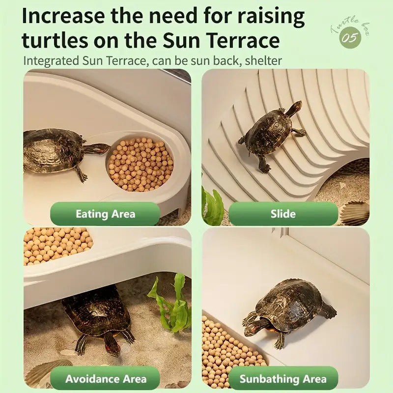 Turtle Aquarium with Feeding Bowl