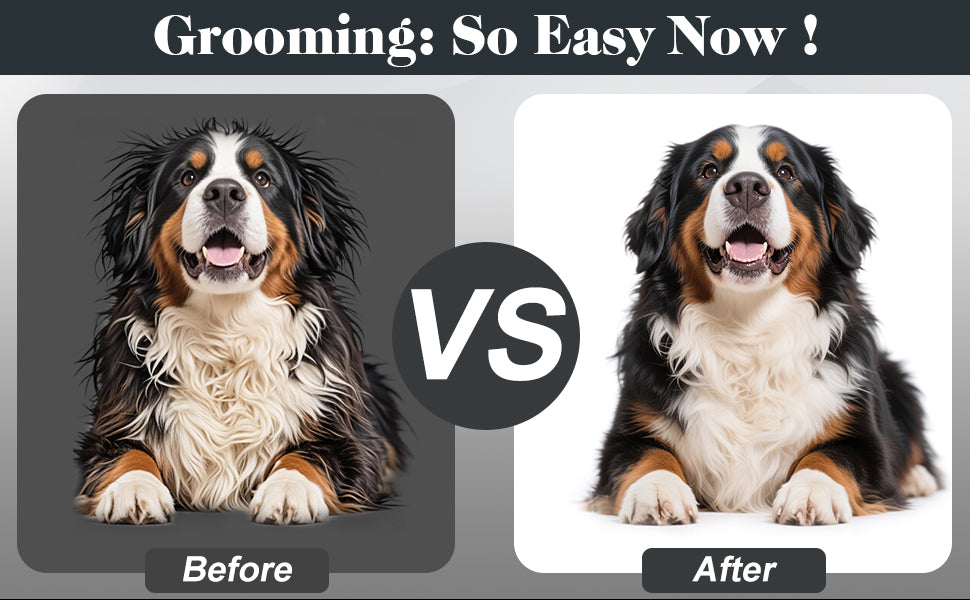 2PCS Slicker Brush for Dogs & Pet Comb,Professional Dog Grooming Brush