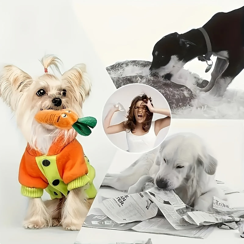 5/10 Random Style Dog Squeak Toy Set