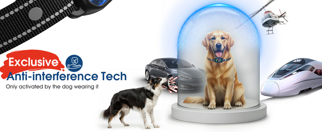 Smart Bark Collar