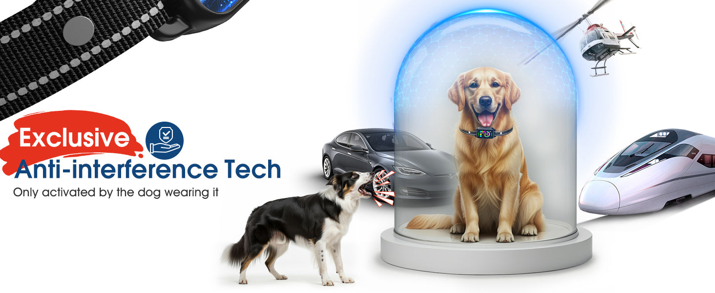 Smart Bark Collar
