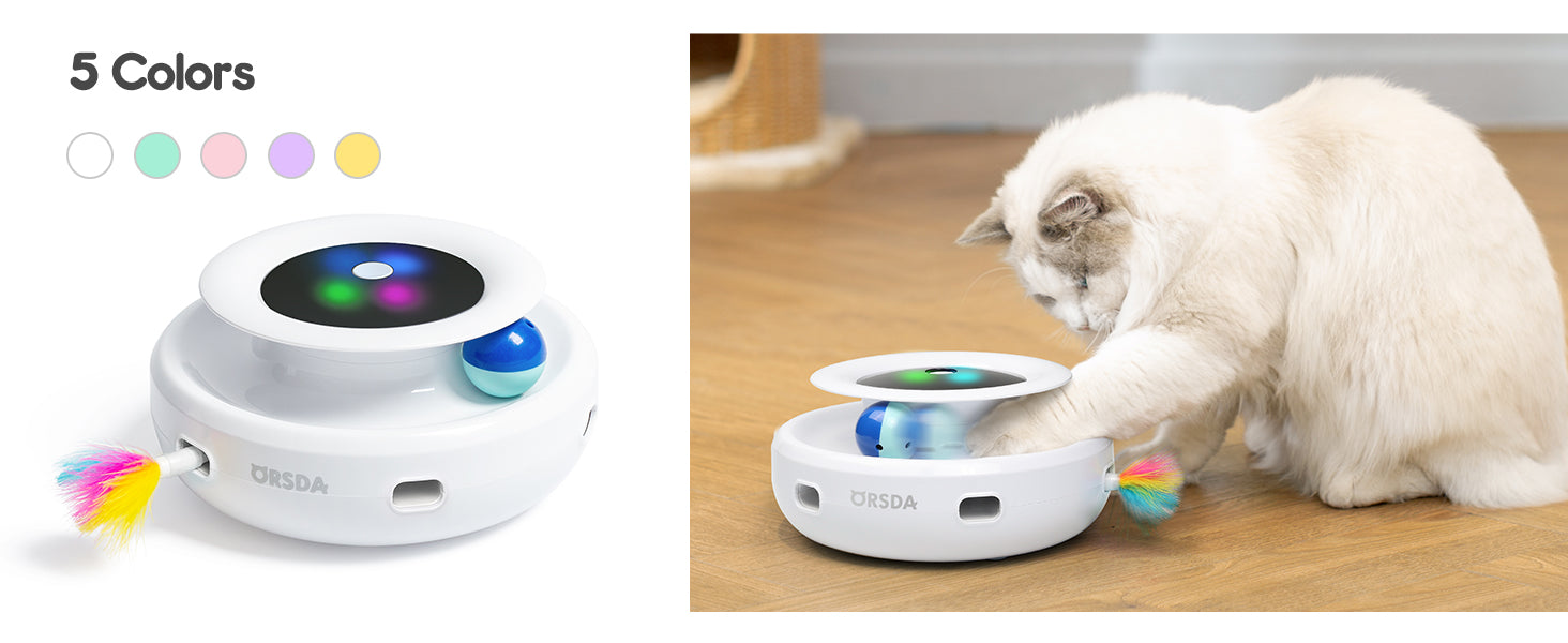 2in1 Interactive Toys for Indoor Cats