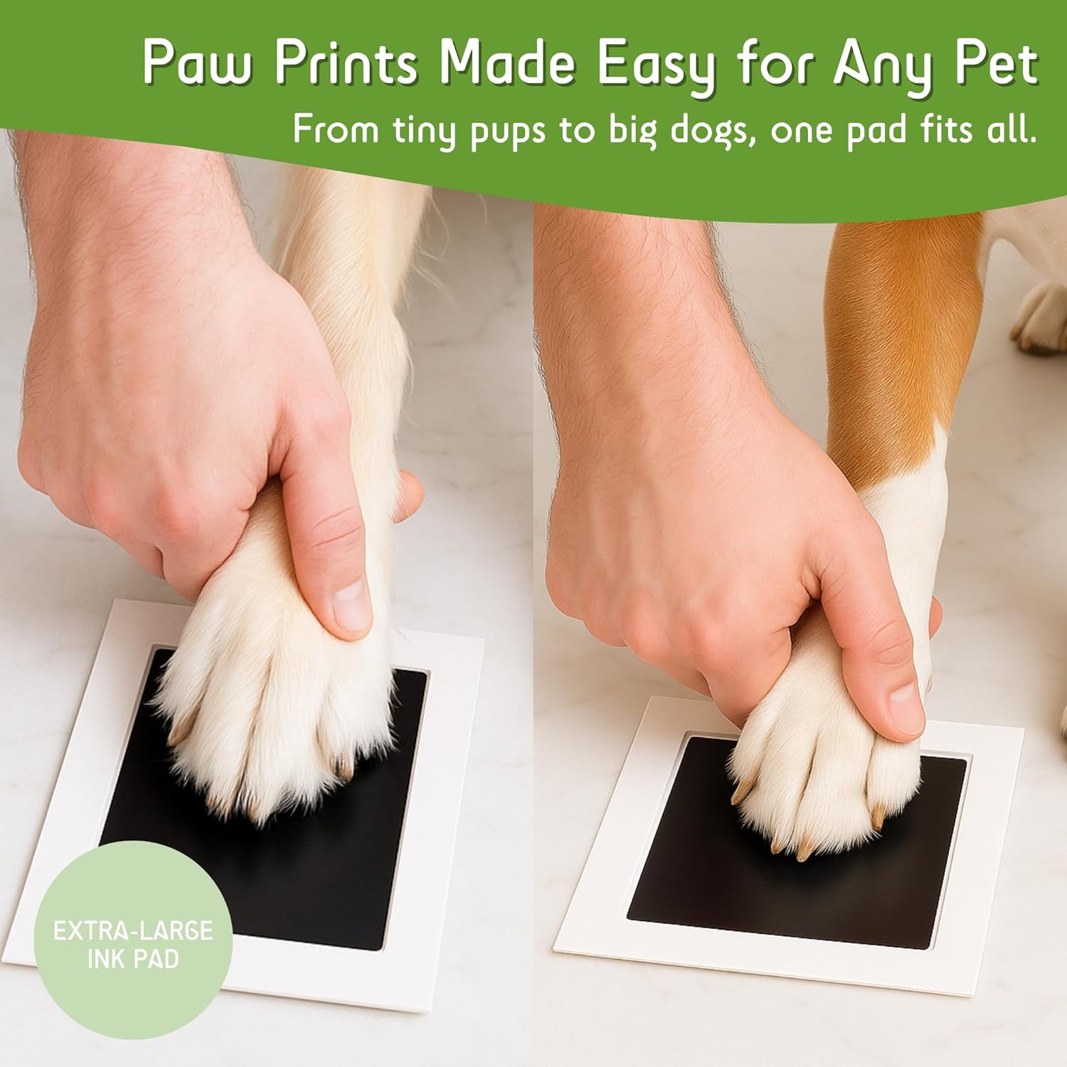 Green Pollywog Extra-Large Clean Touch Inkless Ink Pad Paw Print Stamp Kit |