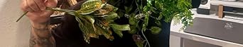 Terrarium Hanging Plant Vines Artificial Leaves Reptile Hide