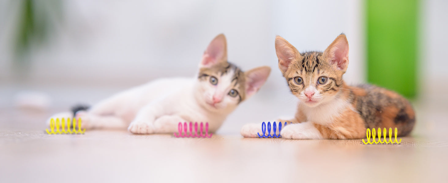 Andiker Cat Spiral Spring, 12 Pc Cat Creative Toy to Kill Time and Keep Fit Interactive Cat Toy Sturdy Heavy Plastic Spring Colorful Springs Cat Toy for Swatting, Biting, Hunting Kitten Toys