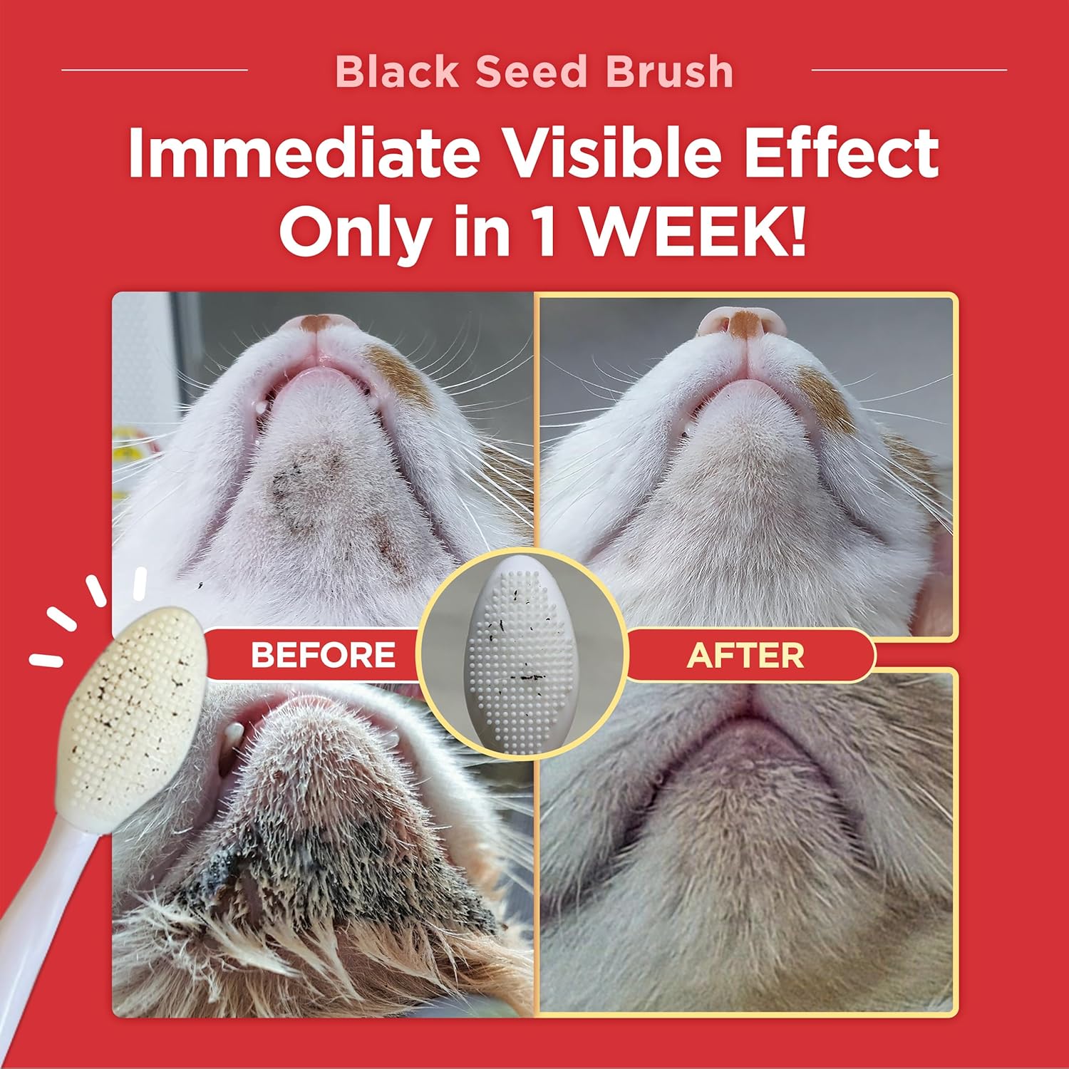 PET Black Seed Brush