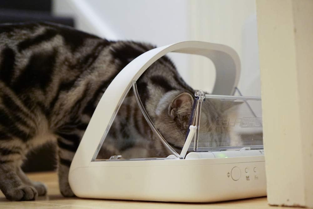 Cat Face Recognition Feeder Selective-Automatic Pet Feeder Makes Meal Times Stress-Free