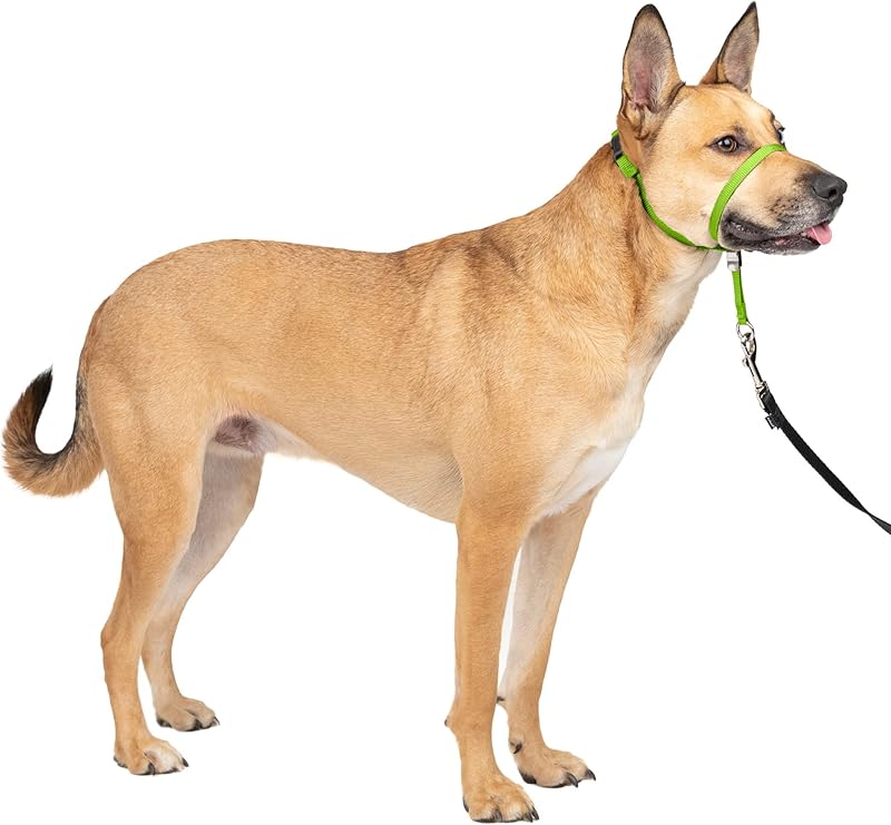 Gentle Leader No-Pull Head Collar for Dogs