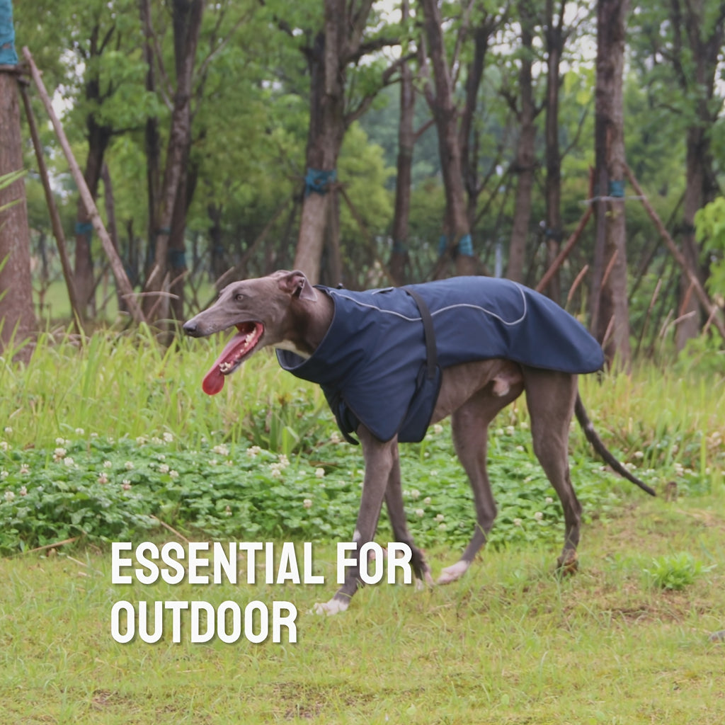 Winter Warmth Double-Layer Dog Jackets