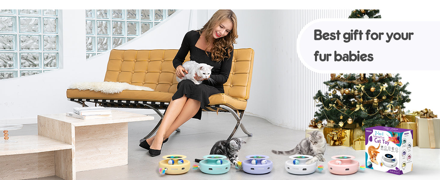 2in1 Interactive Toys for Indoor Cats
