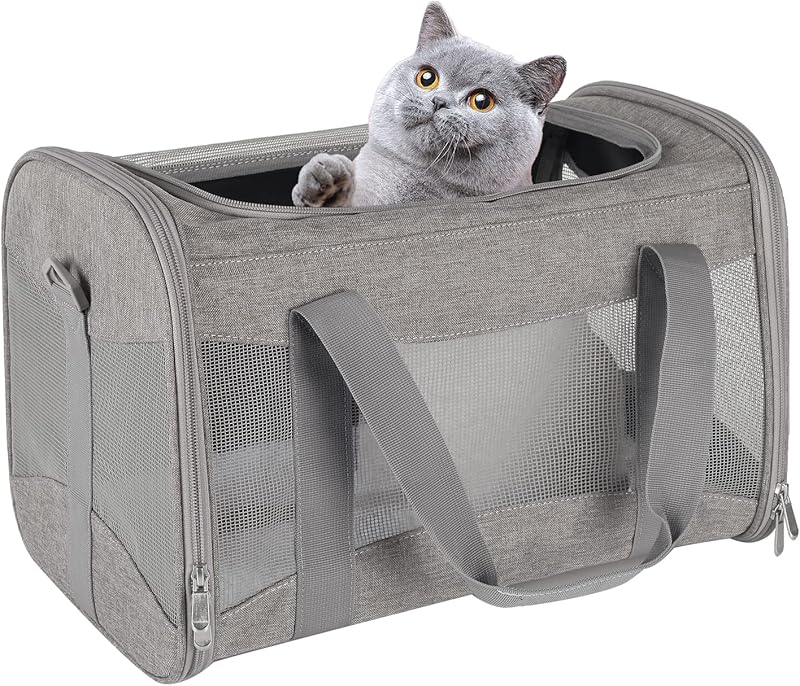 Pet Travel Carrier  Soft-Sided Cat Bag Airline Approved