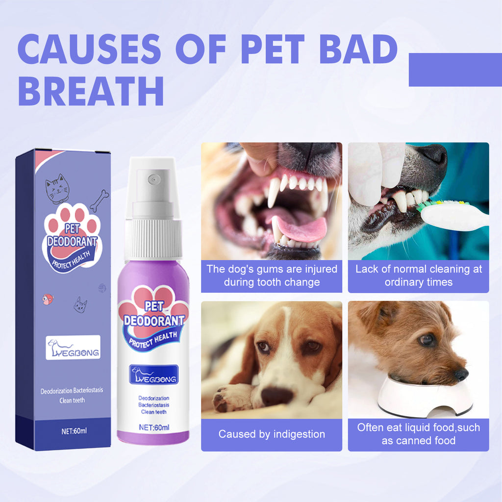 ORAL SPARY FOR PETS