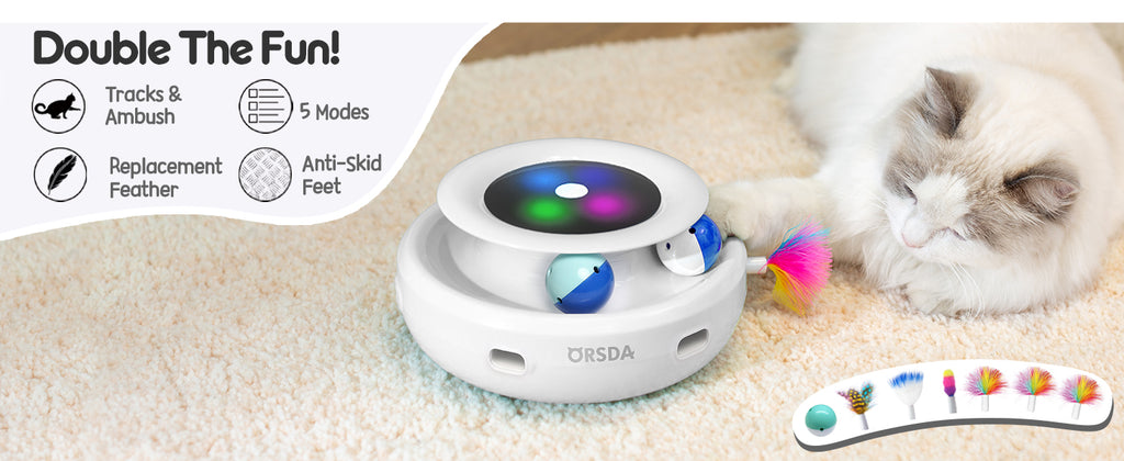 2in1 Interactive Toys for Indoor Cats