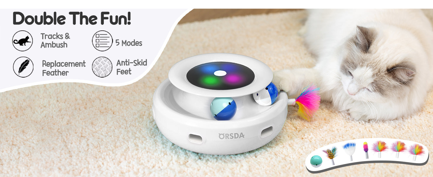 2in1 Interactive Toys for Indoor Cats