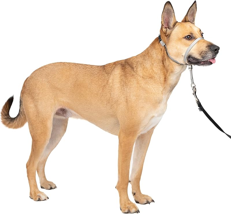 Gentle Leader No-Pull Head Collar for Dogs