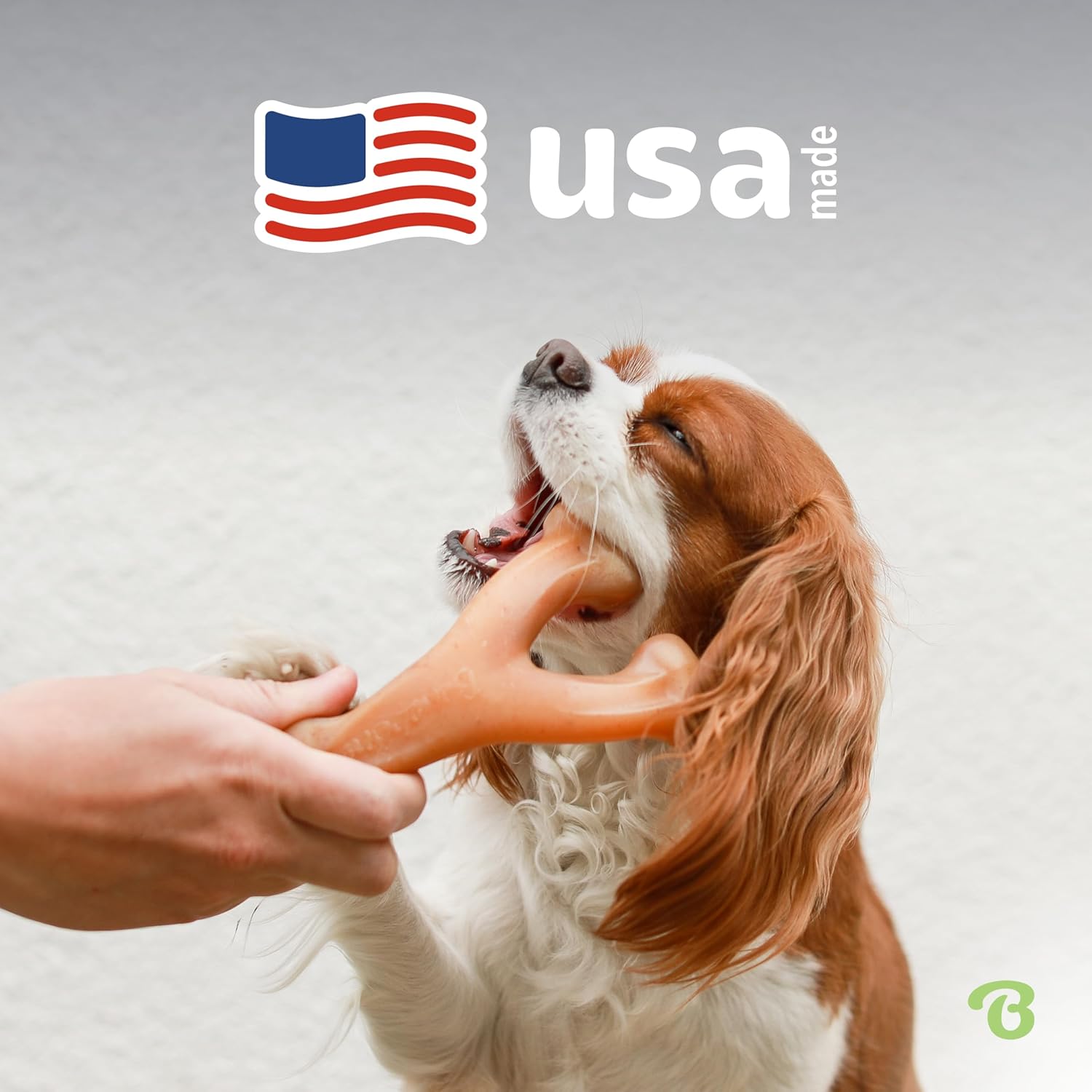 Durable Dog Chew Toy