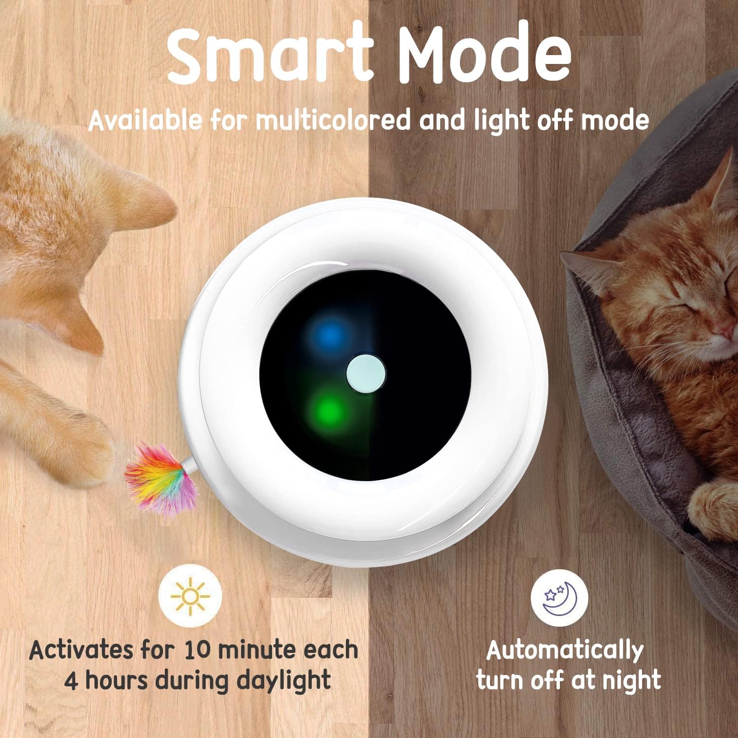 2in1 Interactive Toys for Indoor Cats