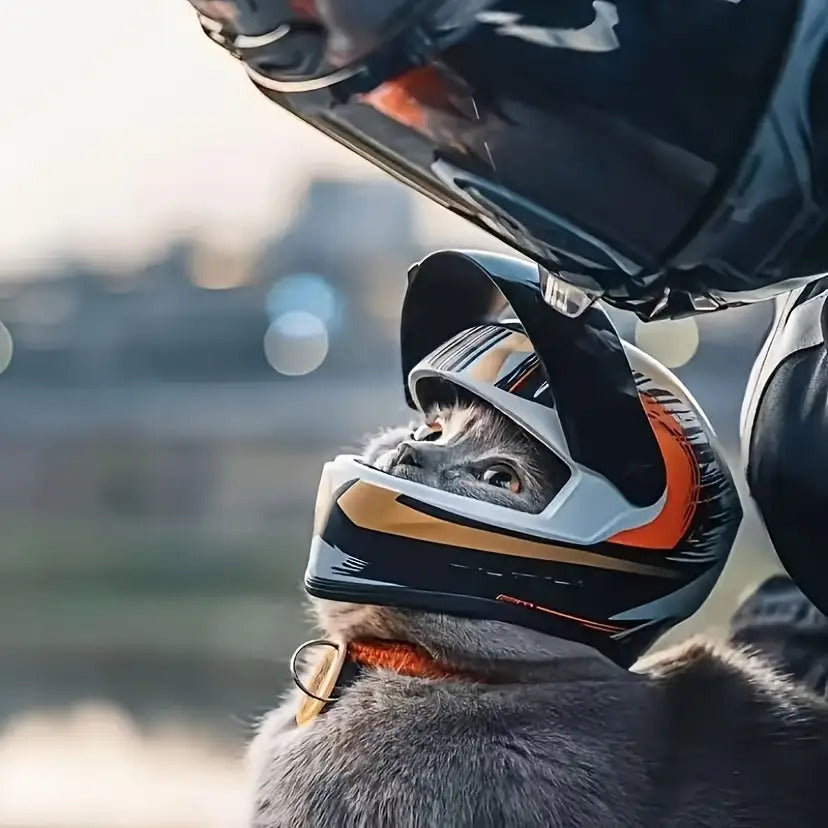 Motorcycle Kitten Helmet - Adjustable Straps