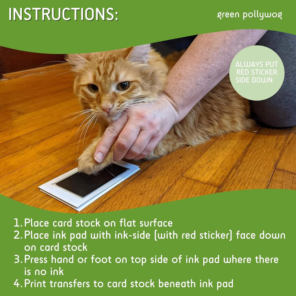 Green Pollywog Extra-Large Clean Touch Inkless Ink Pad Paw Print Stamp Kit |