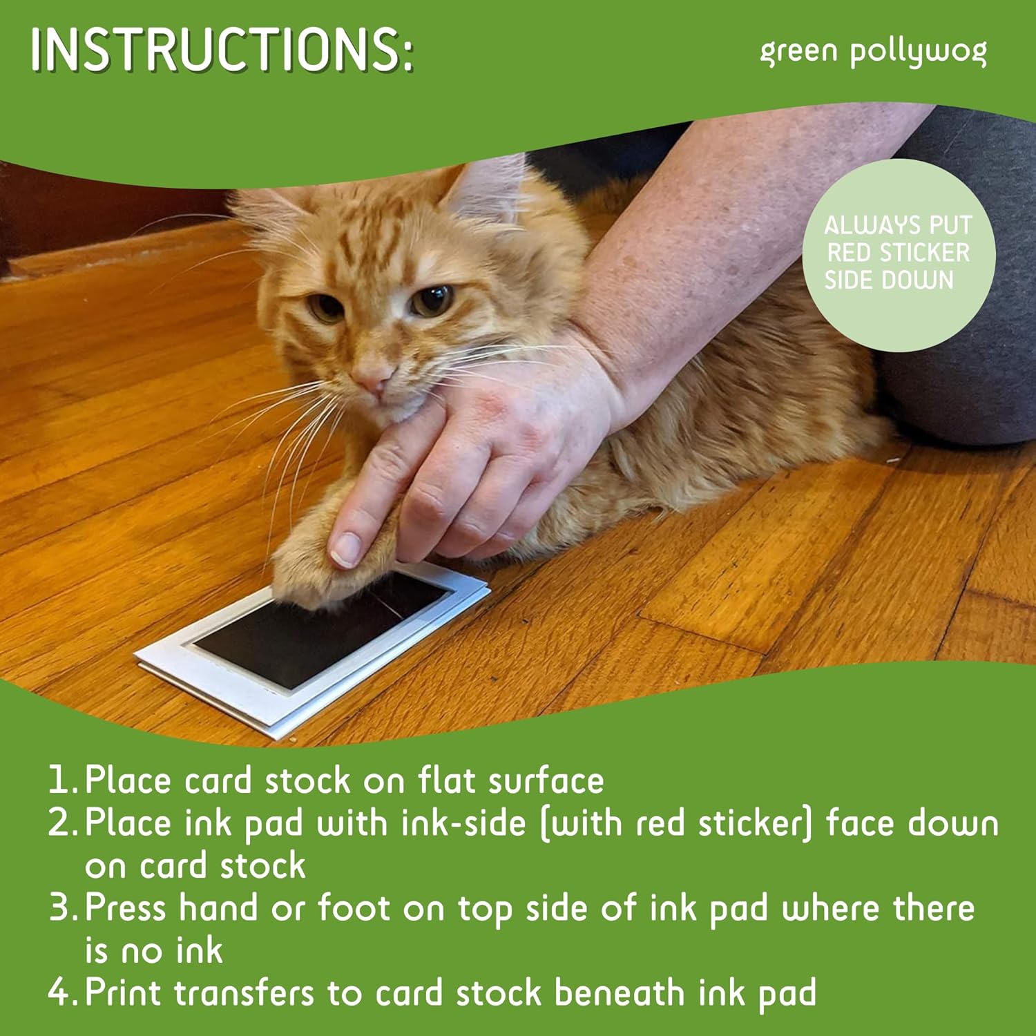 Green Pollywog Extra-Large Clean Touch Inkless Ink Pad Paw Print Stamp Kit |