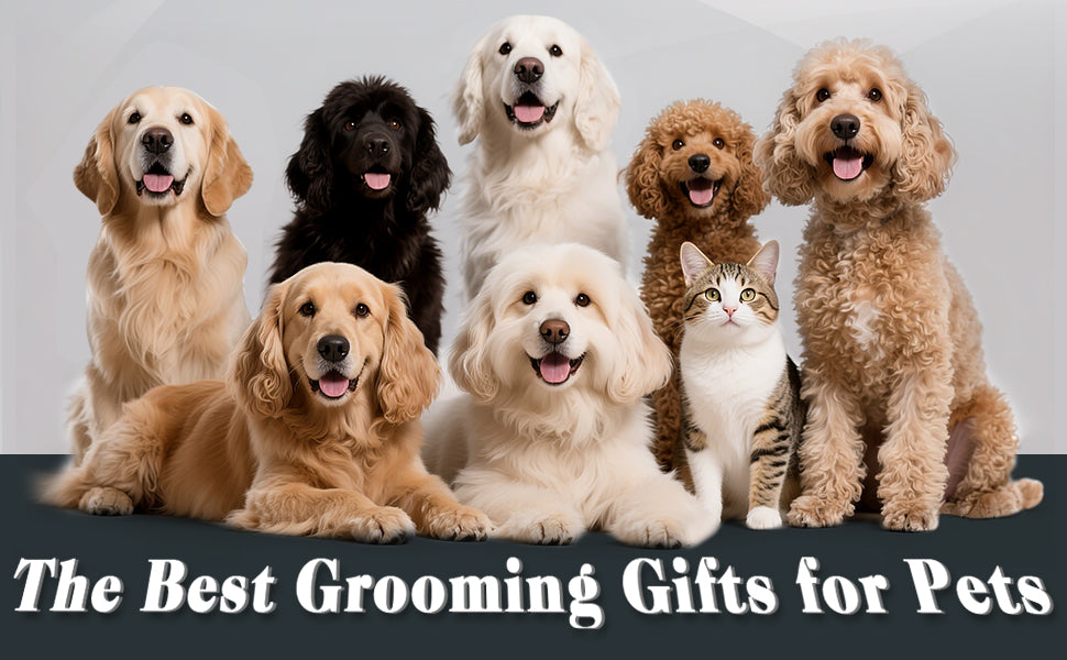 2PCS Slicker Brush for Dogs & Pet Comb,Professional Dog Grooming Brush
