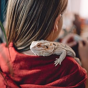 New Age Pet ECOFLEX 48-Inch Mojave Reptile Lounge