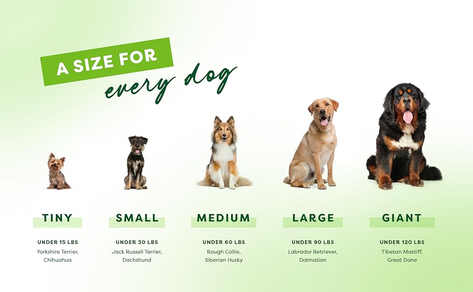 Durable Dog Chew Toy