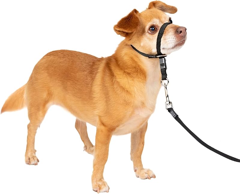 Gentle Leader No-Pull Head Collar for Dogs