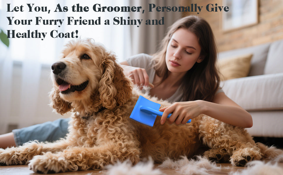 2PCS Slicker Brush for Dogs & Pet Comb,Professional Dog Grooming Brush