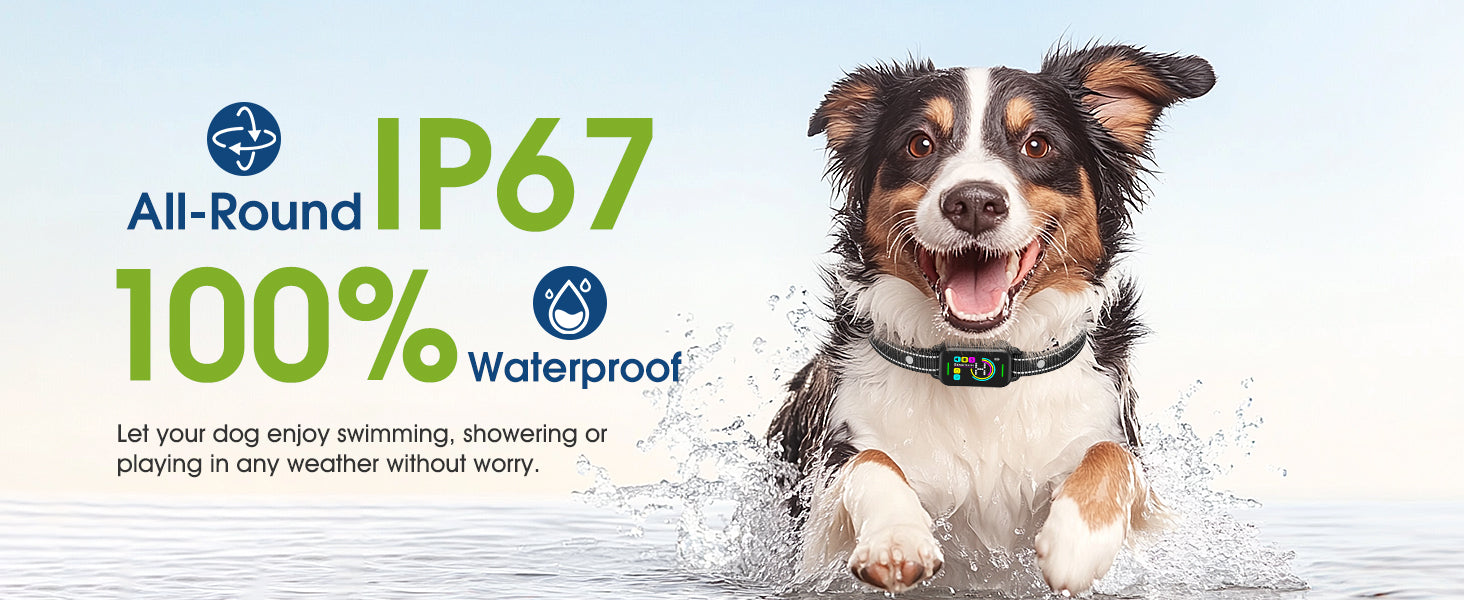 Smart Bark Collar
