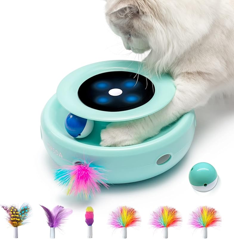 2in1 Interactive Toys for Indoor Cats