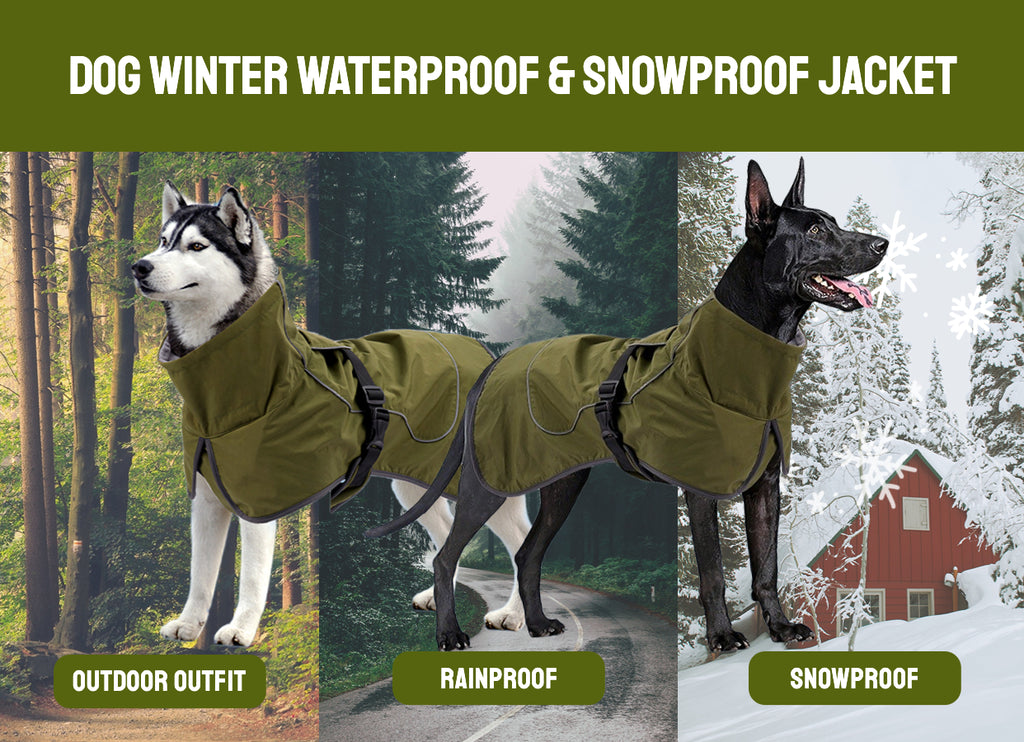 Winter Warmth Double-Layer Dog Jackets