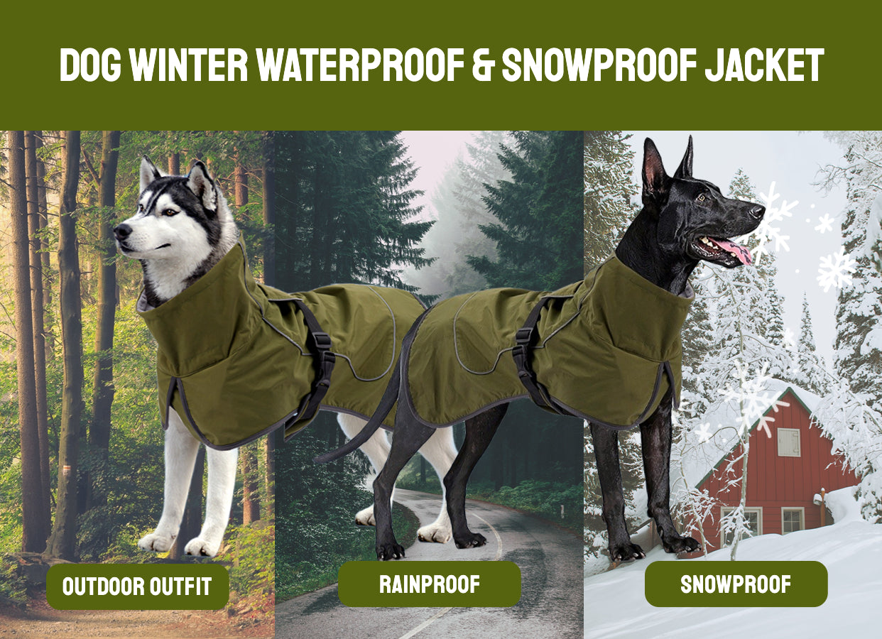 Winter Warmth Double-Layer Dog Jackets