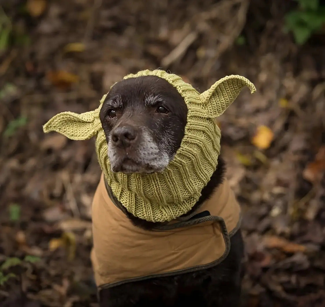 Green Elf Windproof Knitted Dog Hat & Ear Muffs