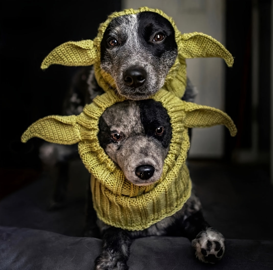 Green Elf Windproof Knitted Dog Hat & Ear Muffs