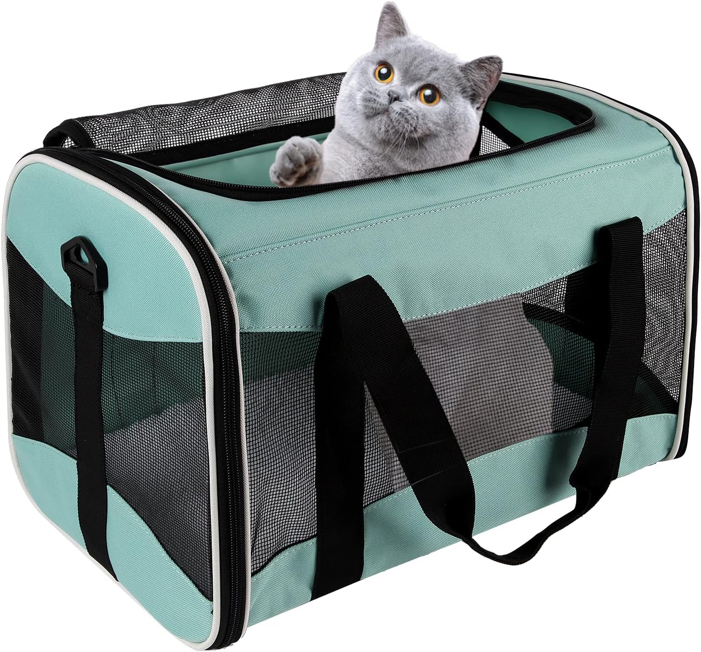 Pet Travel Carrier  Soft-Sided Cat Bag Airline Approved