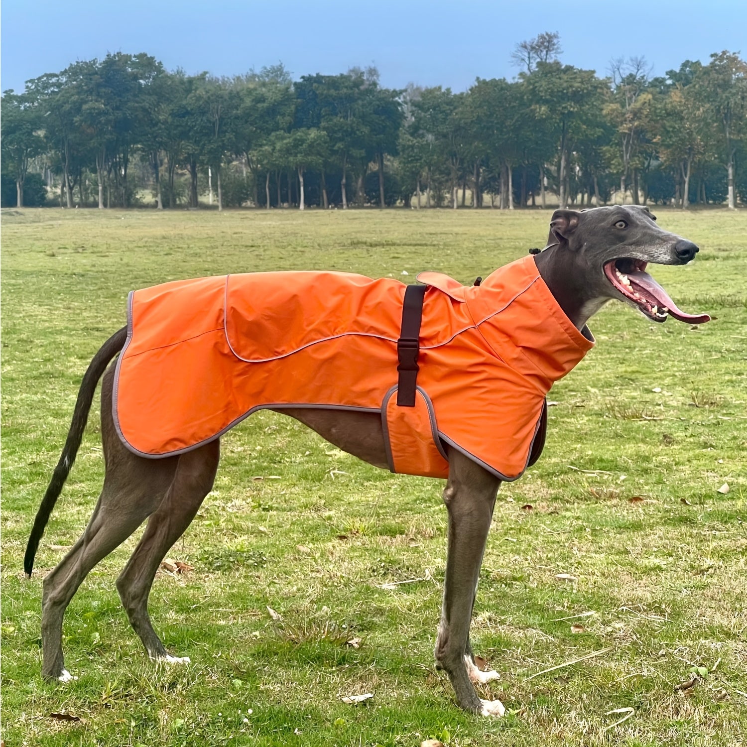 Winter Warmth Double-Layer Dog Jackets
