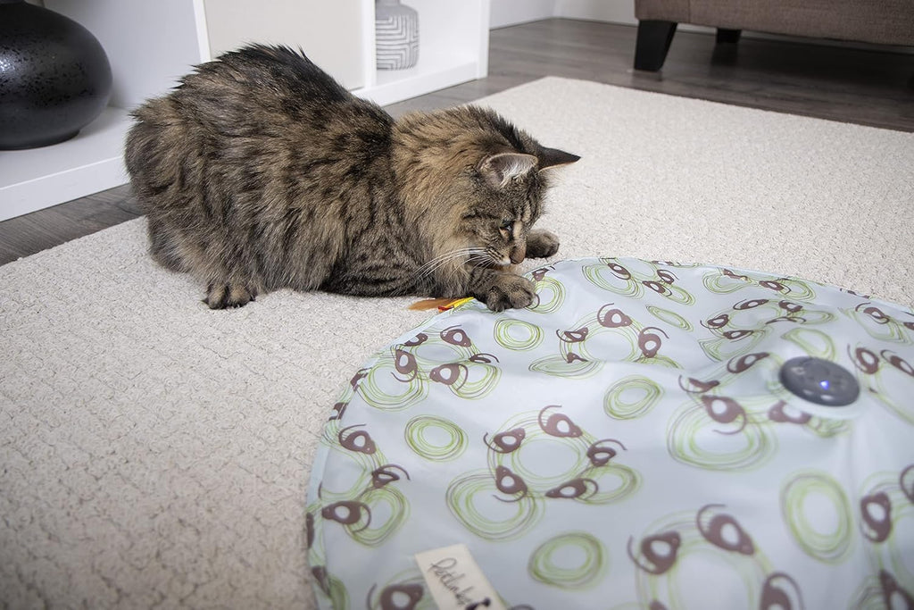 Petlinks Mystery Motion Concealed Electronic Motion Cat Toy