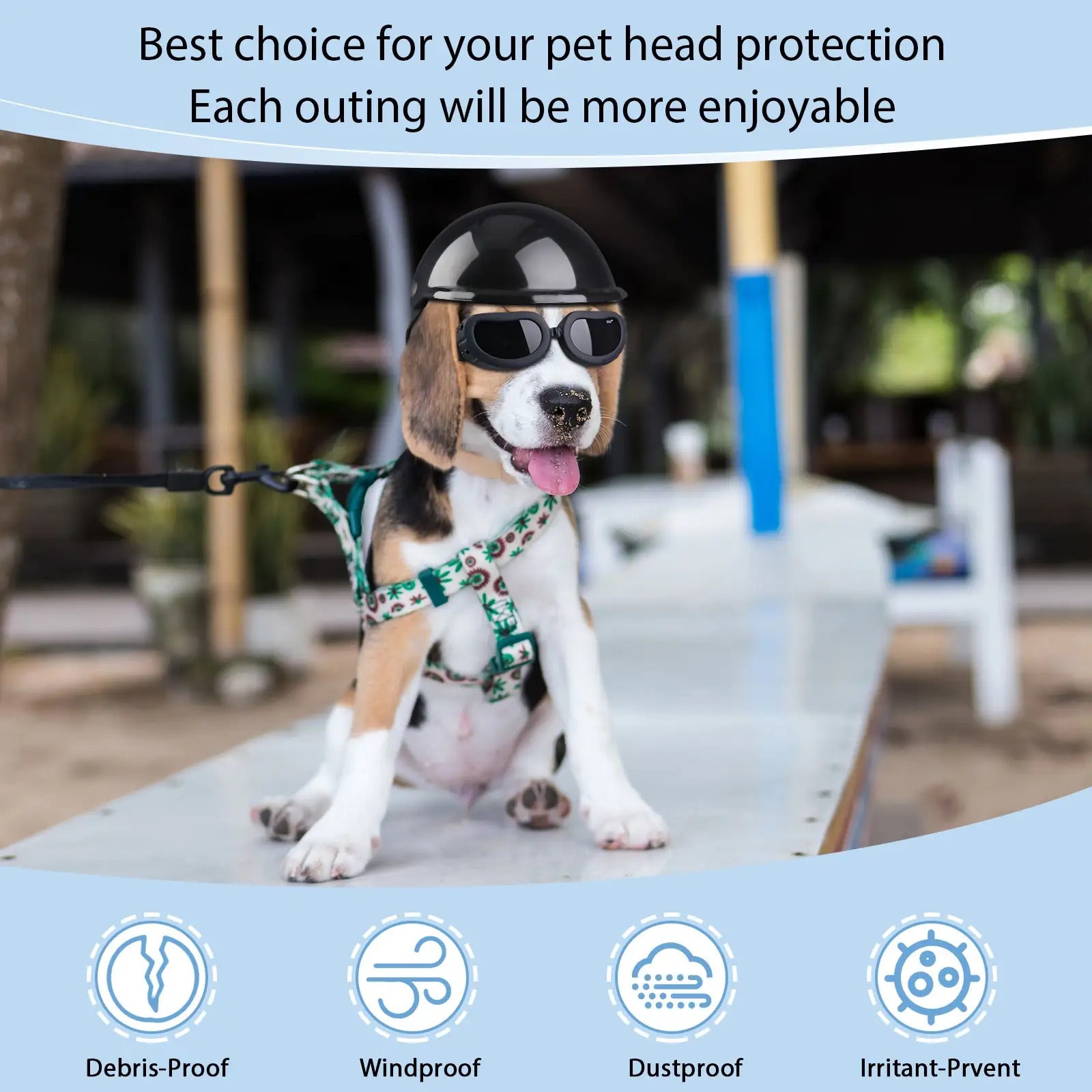 Dog Helmet And Goggles